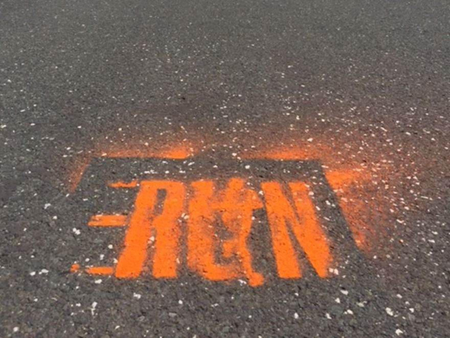 LOGO THE RUN SLOVAKIA